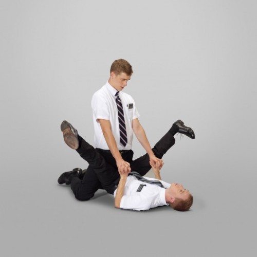 fistfuloffur:  The Book of Mormon Missionary Positions - Neil Dacosta (x)