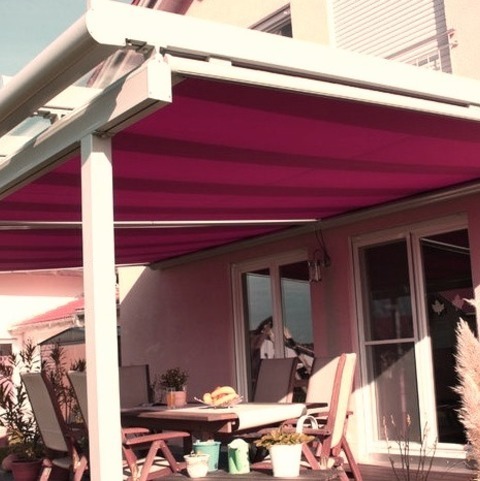 Example Of A Large Trendy Backyard Deck Container Garden Design With An Awning