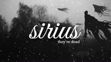 Sirius Orion Black