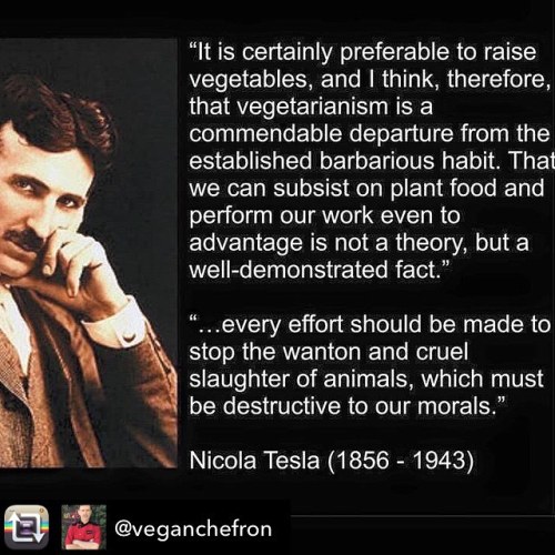 1 of the greatest minds, inventors in history #Tesla on #vegandiet #veganlife #vegansofinstagramht