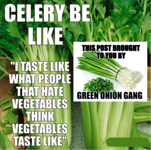splinterfree: celery tastes like this picture