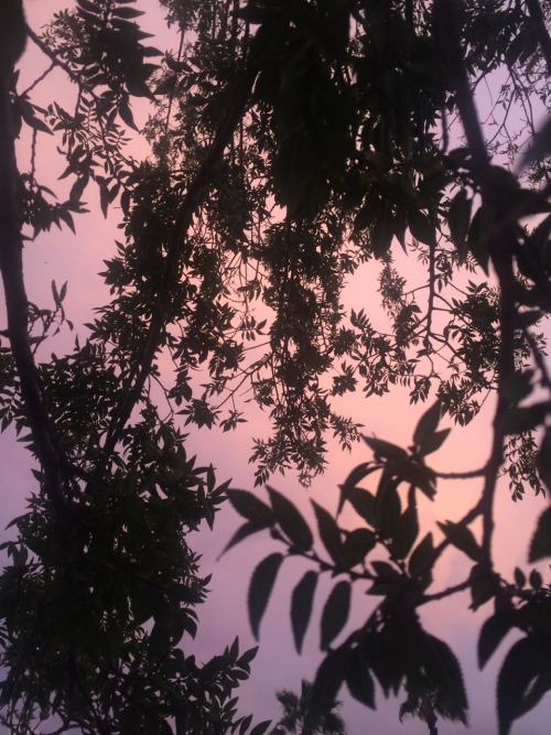 larkxspur:  bc i got a new phone and my photo album was lacking pictures of the sky