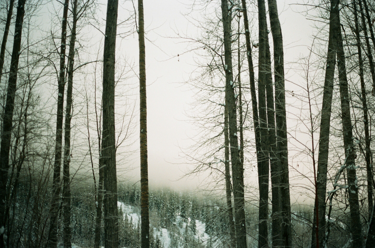 untrustyou:  Ryley Williams