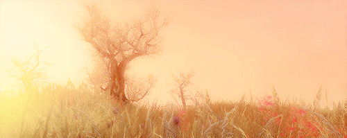 jennyofvengerberg:┕   the elder scrolls v: skyrim scenery 5/∞