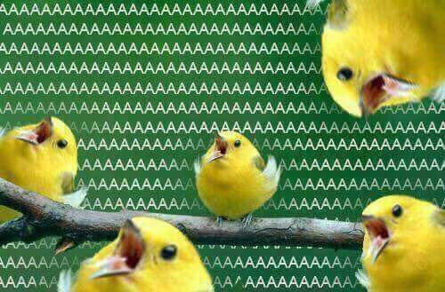 “Relaxa, tenta manter a mente limpa”