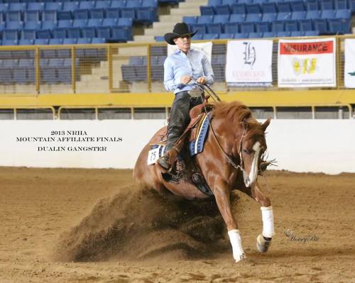 Dualin Gangster(Gangster Chic x Miss Dual Dawn)2007 Sorrel AQHA Gelding