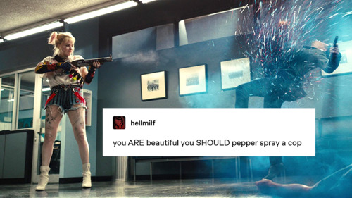 birds of prey + text posts (harley quinn edition)16/?