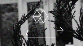 exom-k: EXODUS - Call Me Baby