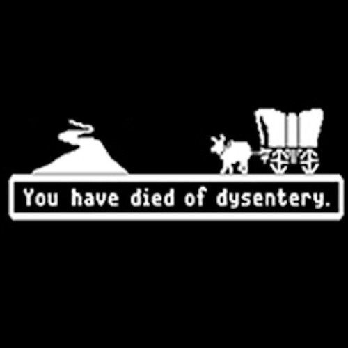 tillandria:Life lesson of the Oregon Trail:You will die.