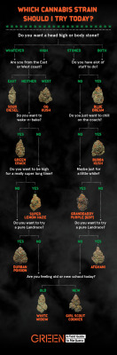 chroniclebooks:  A handy flowchart courtesy of the authors of Green. Because not all weed is made alike. 