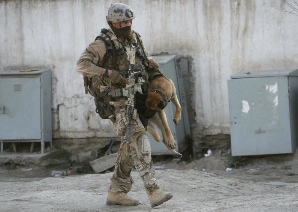 sbs british army