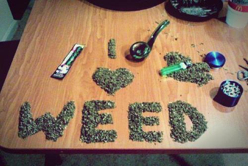 XXX we-all-love-weed:  This picture speaks for photo