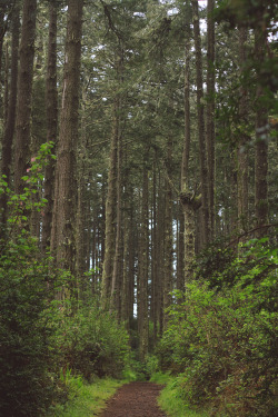 predictablytypical:  Exploring the forest
