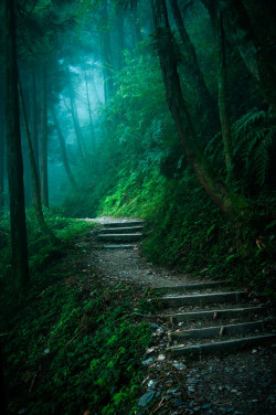 woodendreams:  (by Hung Bo-Wen)