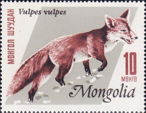 a 1966 Mongolian stamp depicting a red fox[id: a postage stamp with an illustration of a red fox tra