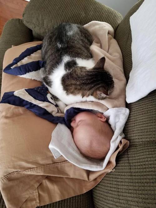 catasters: