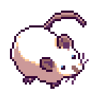 The Giant Rat Has Been Given Life