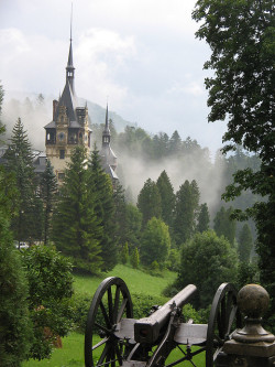 owls-n-elderberries:  Peles Castle by CypherCod