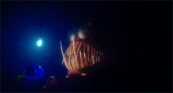 izzllightwood:  get to know me meme: 3/10 favorite movies: Finding Nemo (2003) &ldquo;Hey,