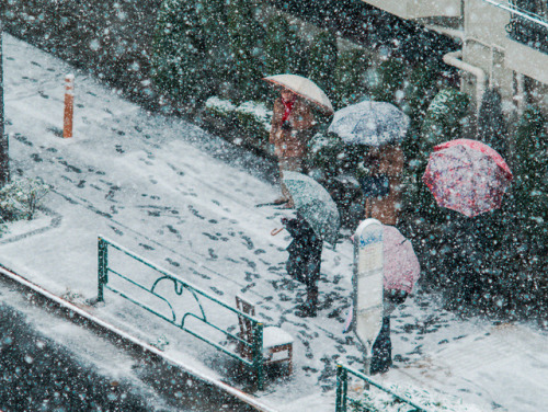 the-colors-of-tokyo: That Snowy Day at the Bus StopSmall Town Tokyo: Himonya