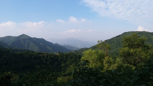 山中吃茶记 Enjoy a tea time in the mountain