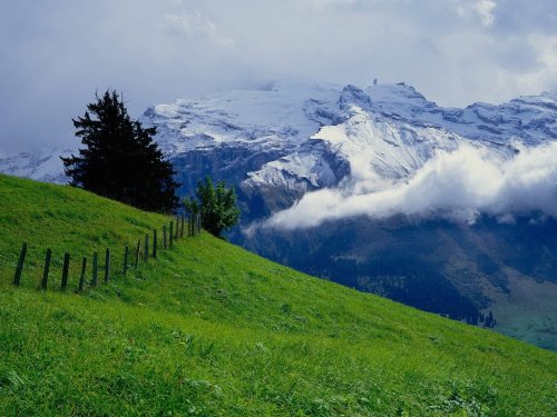 www.wallpaperhd.website