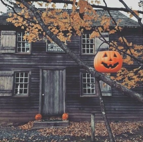 Hallween #16 