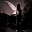 crowsofdarkness