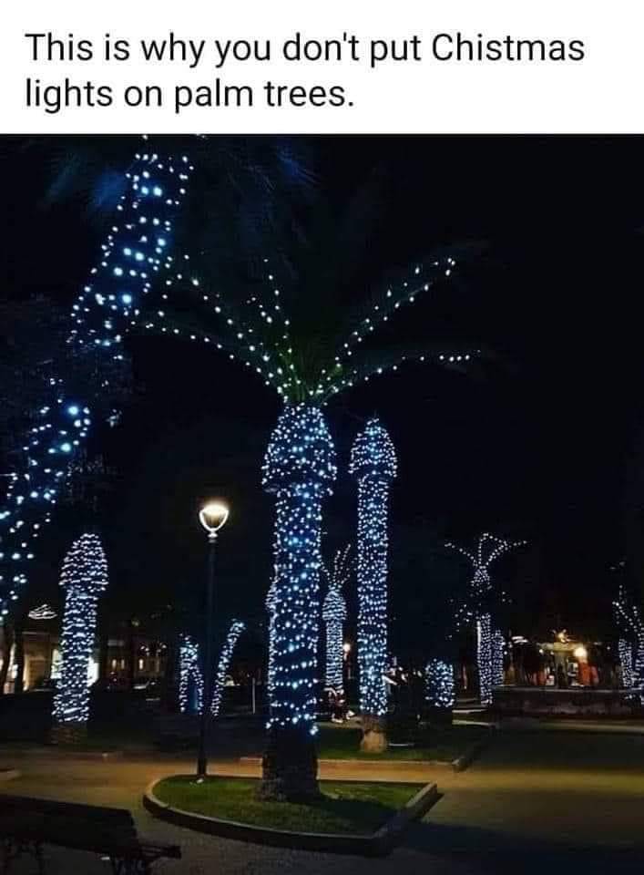 lookbitchitsme50:manderz82:🤣🤣🤣🤣🤣🤪