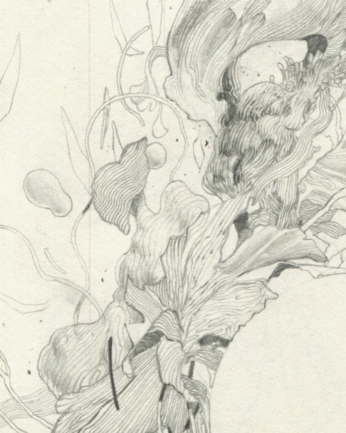 jameschleeart:05.86 dead leaf rhythm (no.2) (details)Graphite and charcoal on paper, 5″ x 8.25″, 201