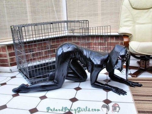 dare-master:  Latex Puppy 