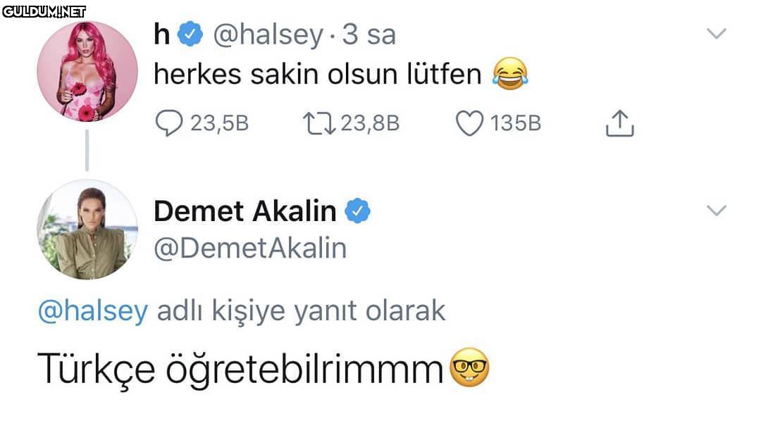 Hayır öğretemezsin ho...