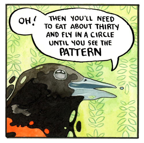 falseknees:The Pattern