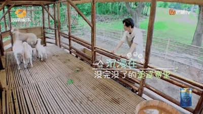 奇妙小森林tumblr Posts Tumbral Com
