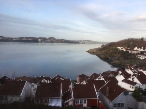 Walking in my sleep Like the naked trees Sandnes, Norway 18/12/2017