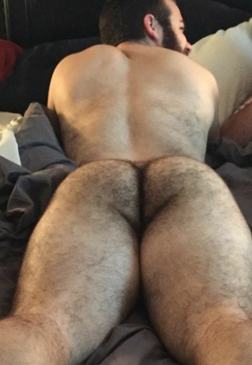 mr-faggot:slimnsingle:A BEAUTIFUL EXAMPLE OF A FURRY, SNIFFABLE, AND EATABLE ASSI need this in my li