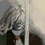 hazulf