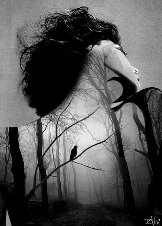 asylum-art-2:  Beautiful Photo collage by the famous Loui JoverSaatchi Art,  Facebook,
