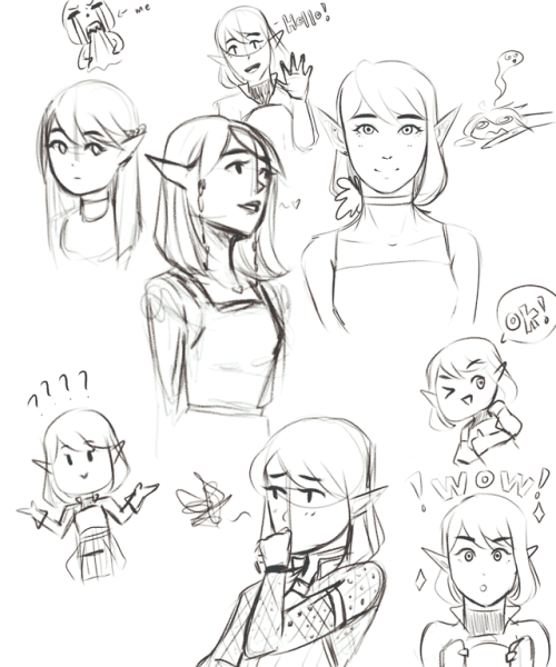 warden scribs
