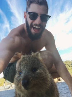 anxietits:  Quokka selfie