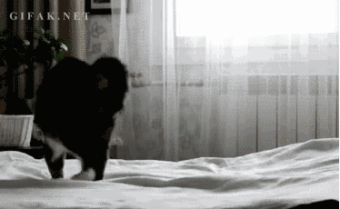 bybulent:  Best GIFS Archives  