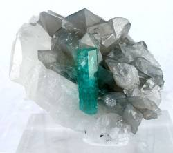 hematitehearts:    Beryl Var. Emerald on CalciteLocality:   Coscuez Mine, near Muzo, Boyaca Dept., Colombia  