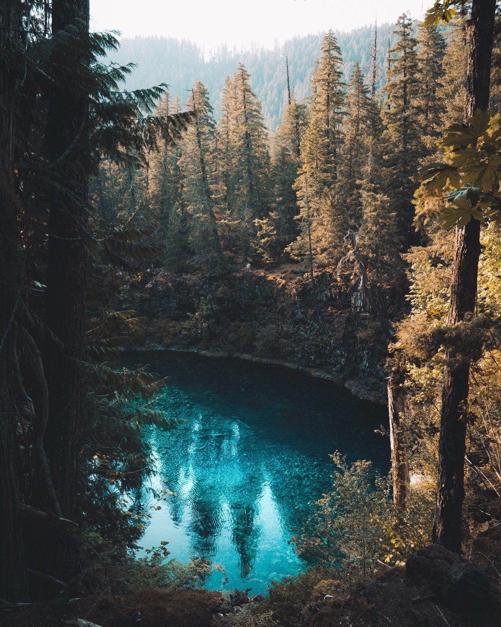 erubes1:  Crystal blue waters tucked deep in the woods 🌲 Follow me: www.instagram.com/erubes1