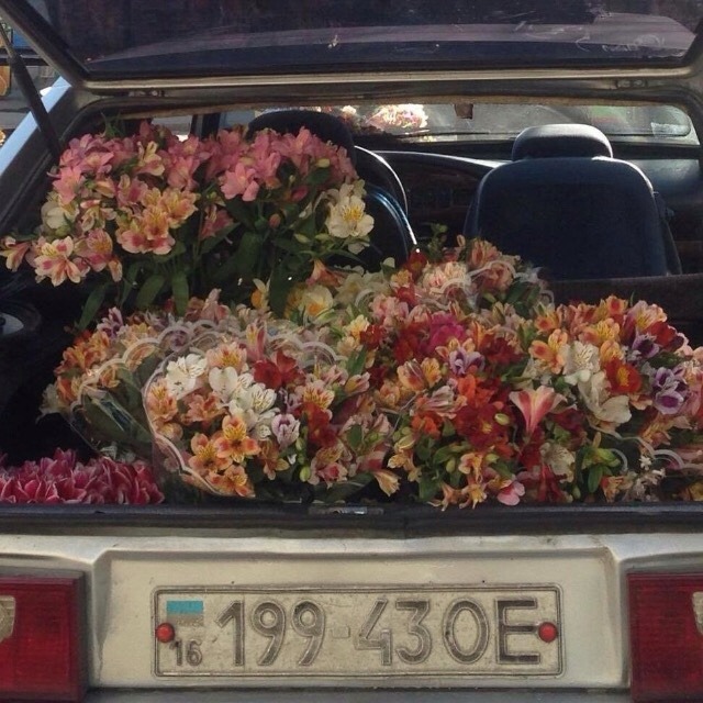 jeonwonwoo: warm summer flowers mb