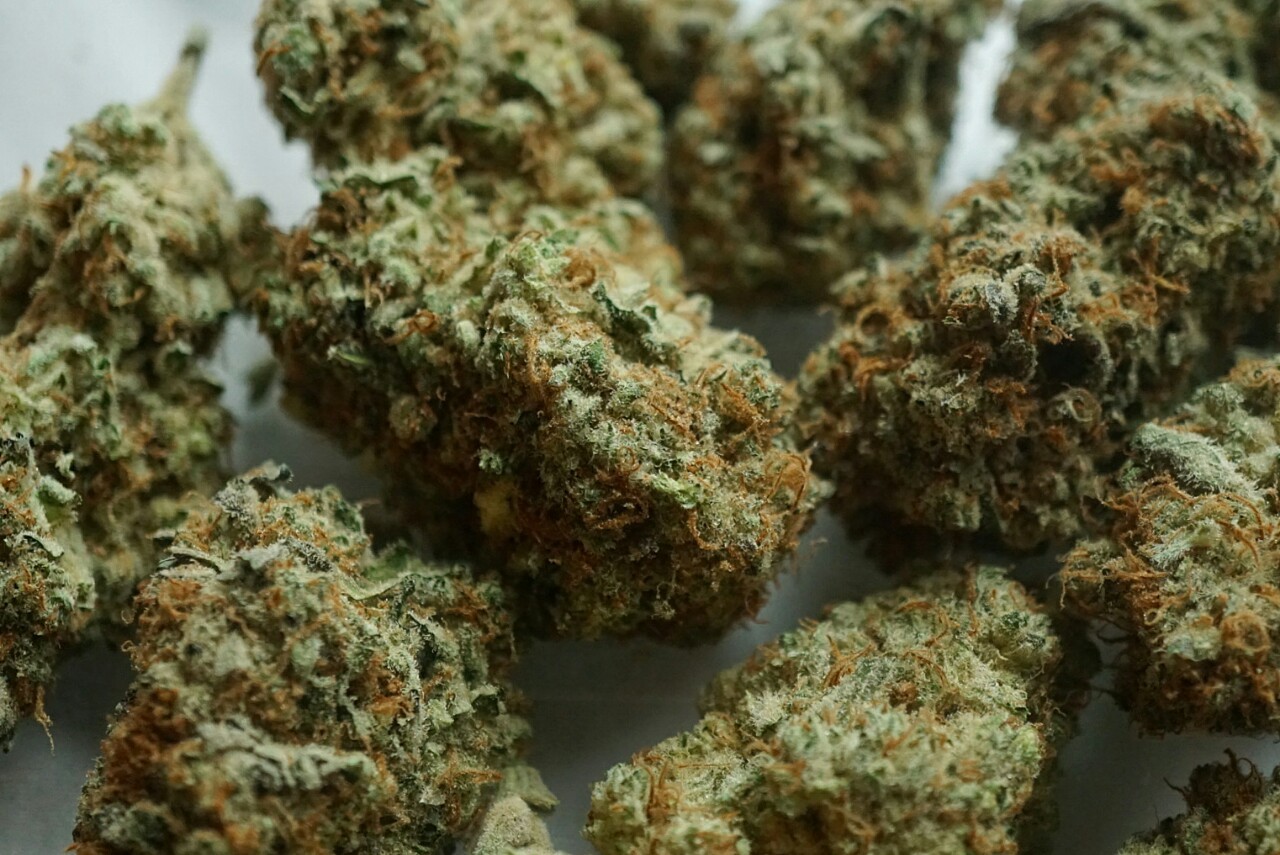 mice-teeth: I could eat these buds, they look like candy 😋😇 Two ounces of super