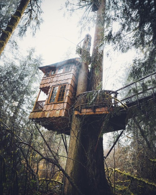 wild-cabins:  Kai Yhun