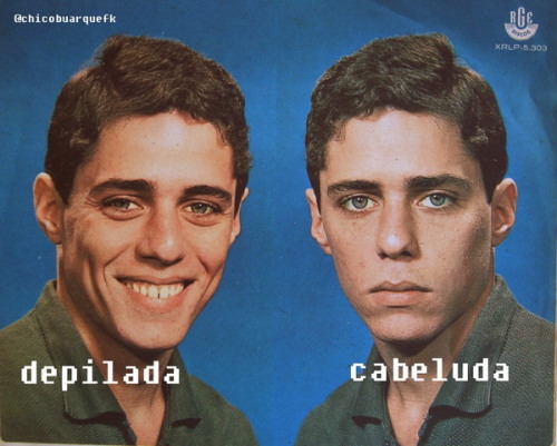 O sétimo caos