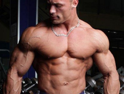 Packed Pecs