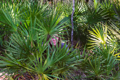 heliophilouscamelopardalis: Newnans Lake || Gainesville, Florida. 1/19/15 sexynarwhals