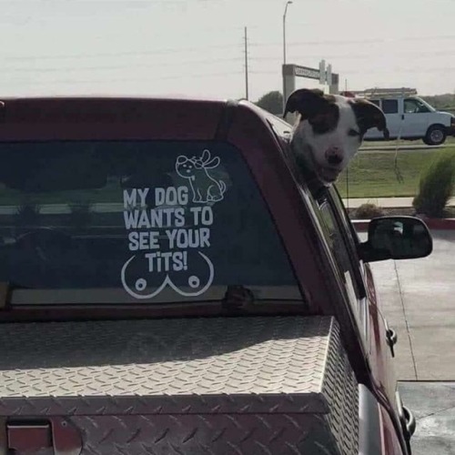 hotrodzandpinups:  Lol